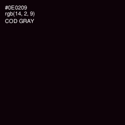 #0E0209 - Cod Gray Color Image